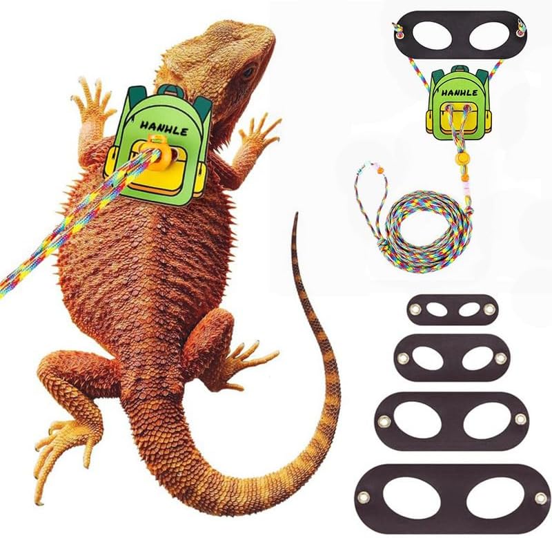 3 Pack Bearded Dragon Harness and Leash Set