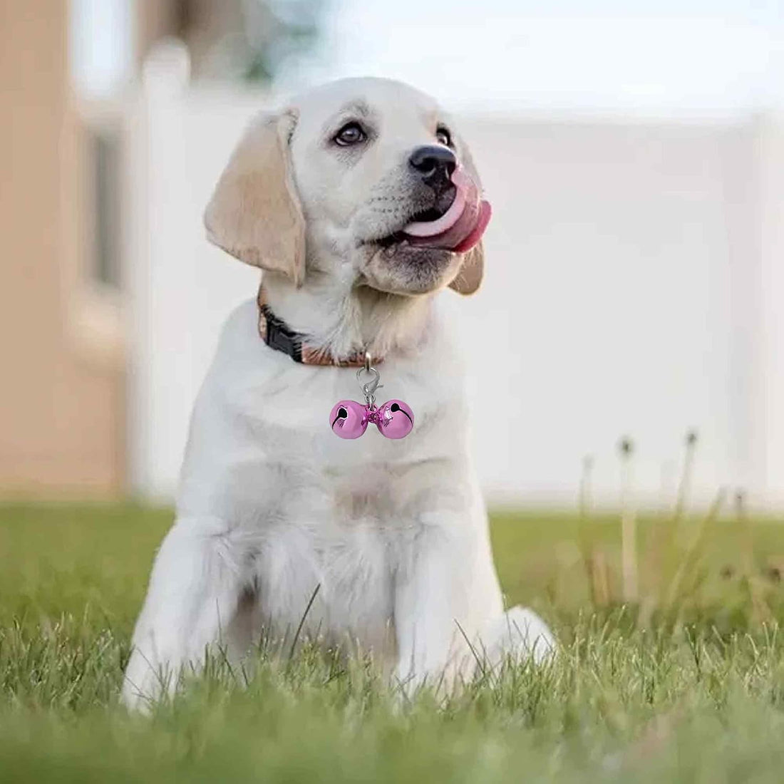 pson Pet Collar Bell Charm