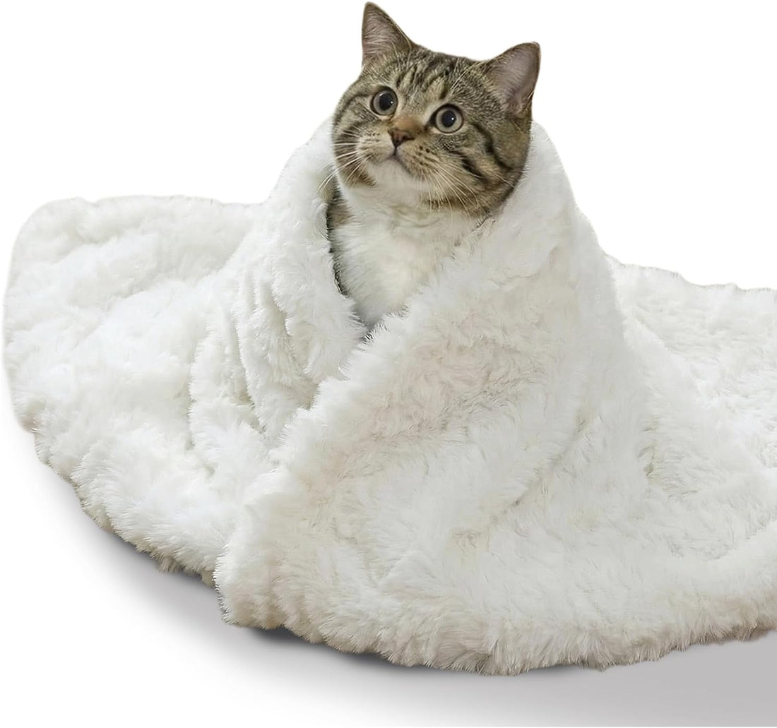 Cat Blanket for Indoor Cats, Soft Faux Fur & Sherpa