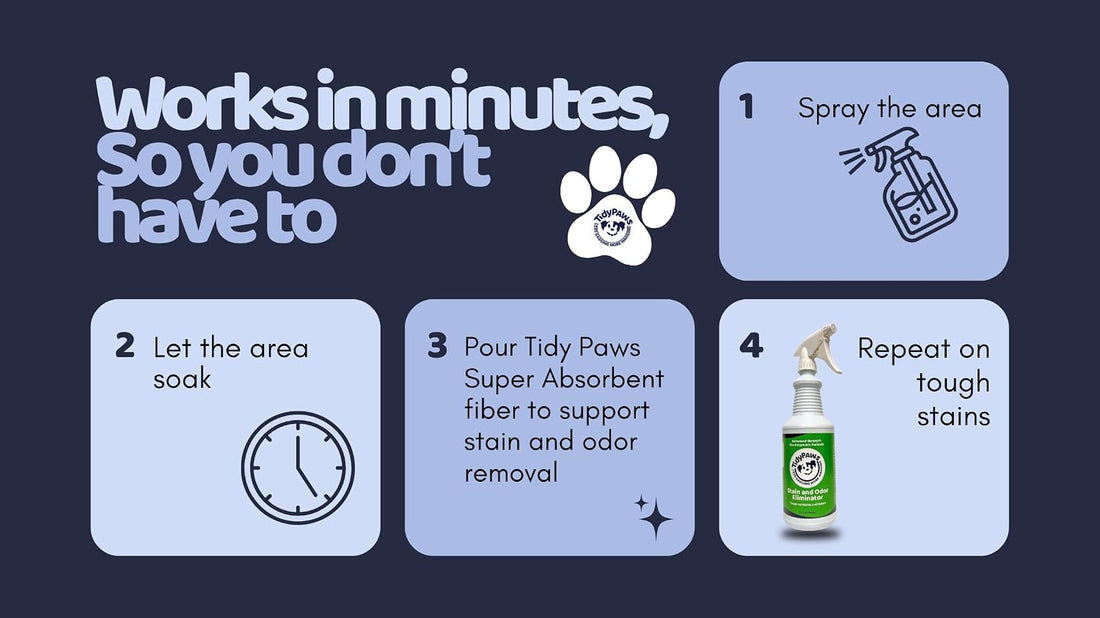 Pet Stain & Odor Eliminator Spray