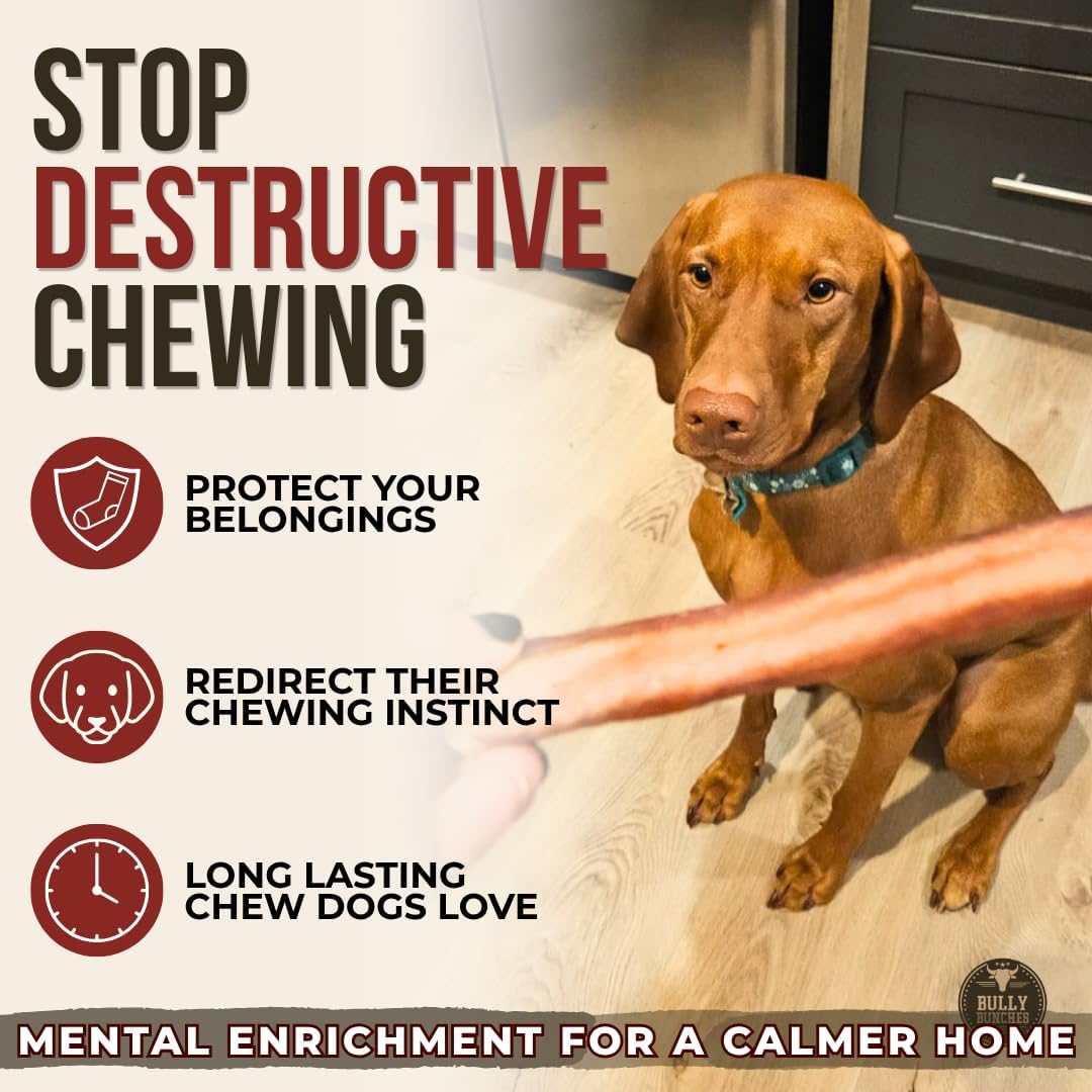 Bully Bunches Premium Odor-Free Bully Sticks for Medium & Large Dogs
