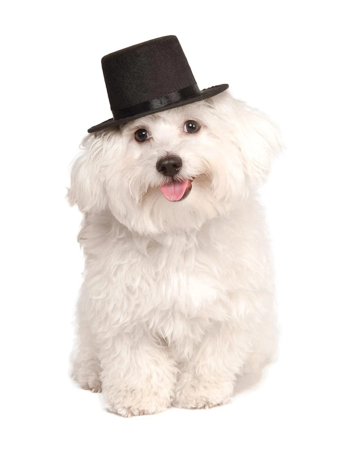 Rubies Top Hat Pet Hat for Dogs or Cats, M/L