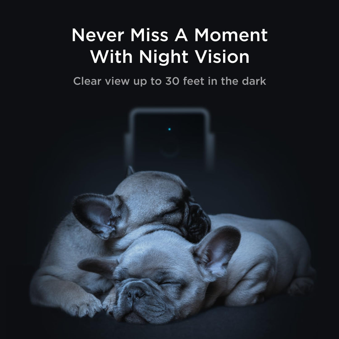 Petcube Cam | Indoor Wi-Fi Pet and Security Camera with Phone App