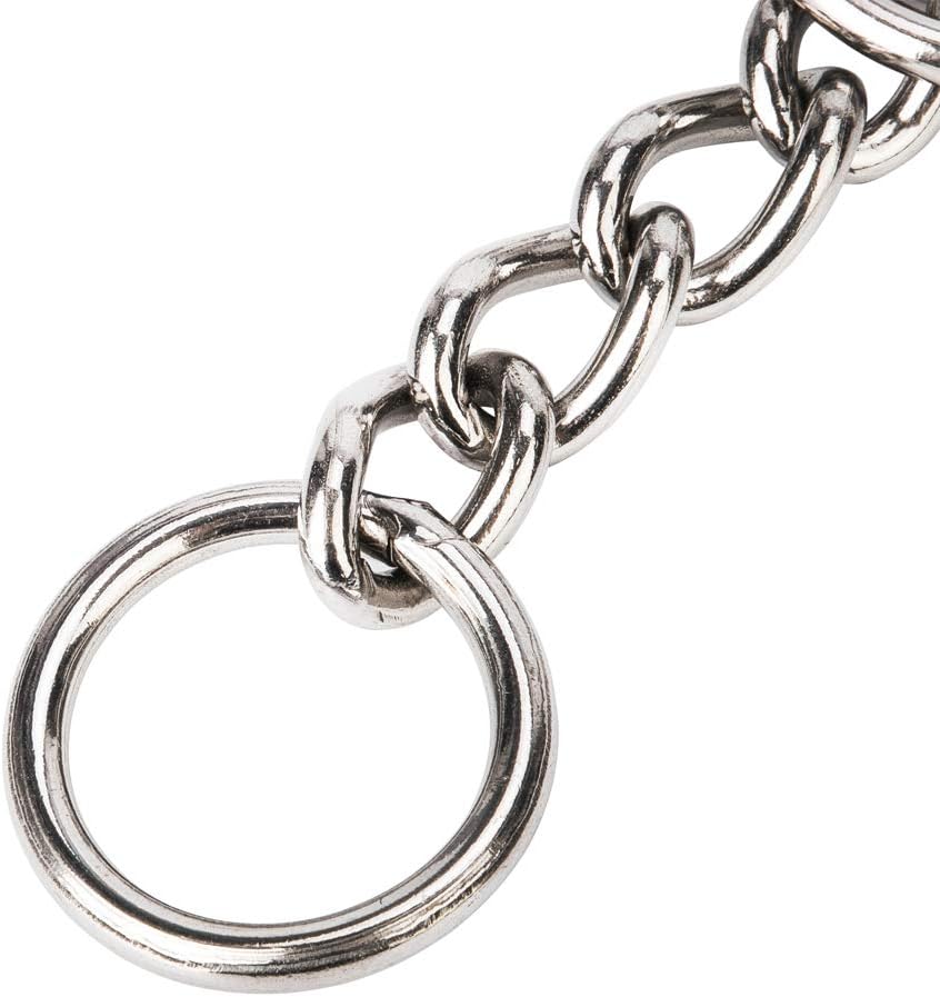SGODA Chain Dog Training Choke Collar, 24 in, 3.5 mm