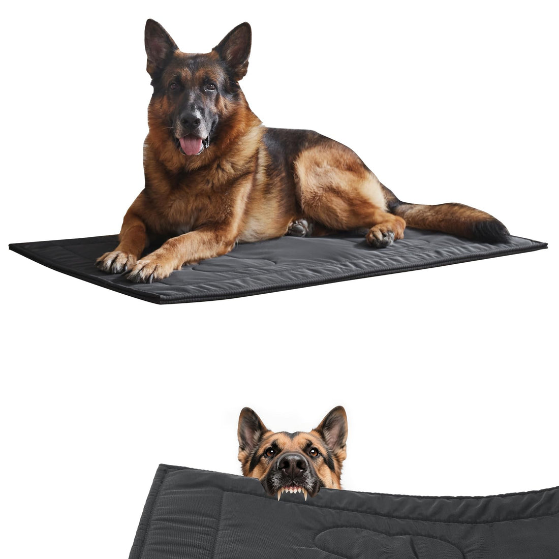 Chew Proof Indestructible Dog Crate Pad