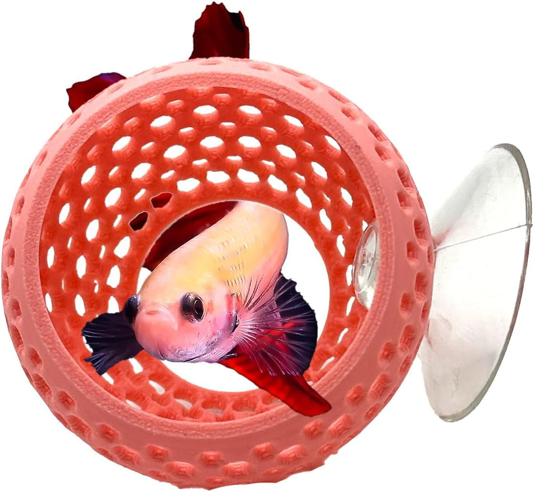 CTWPets Betta Bulb Hide, Betta Bed & Aquarium Cave, Cotton Candy Blue