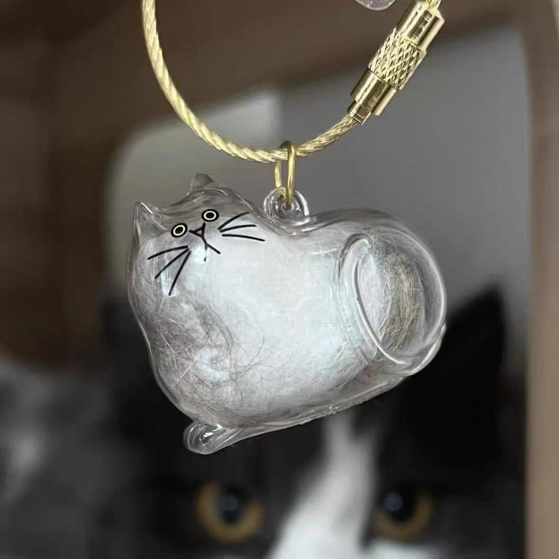 sencdfly Cat Hair Storage Keychain,Transparent Cat and Dog Hair