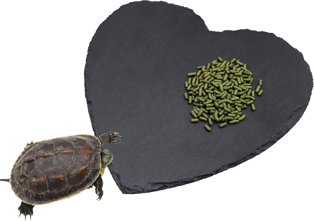 Reptile Basking Platform, 7.9 × 7.9 inch Tortoise Rock Plate
