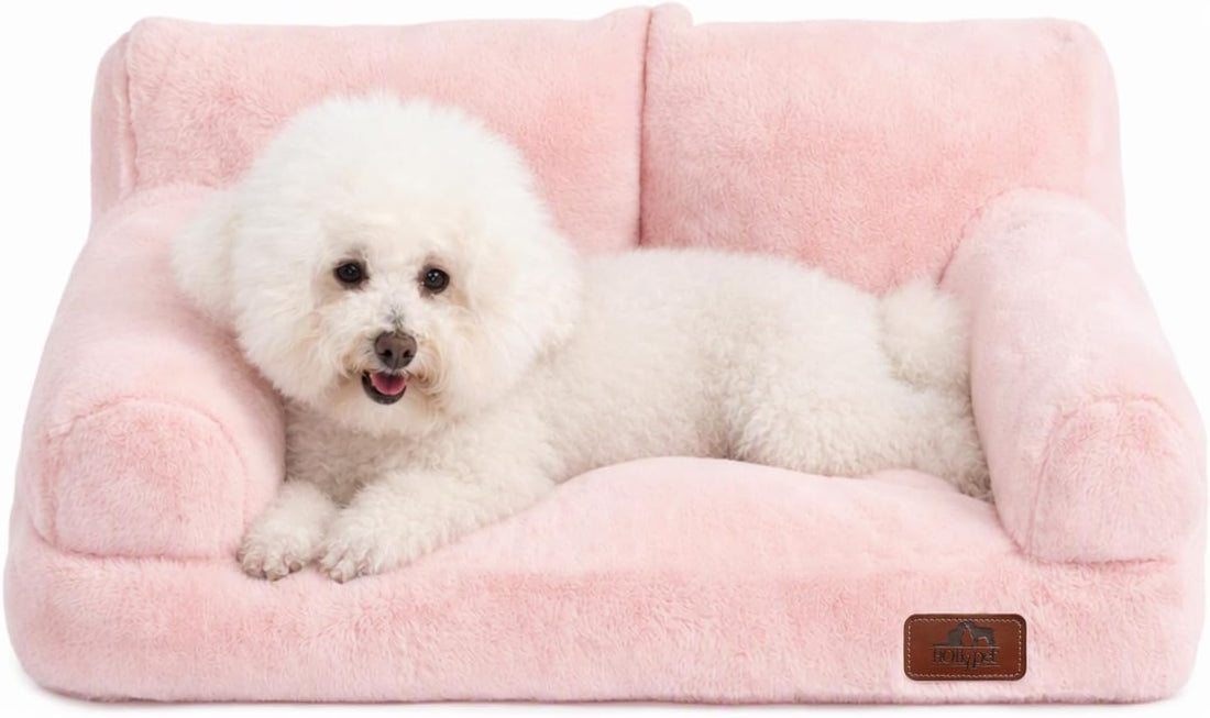 Hollypet Small Dog Large Cat Bed Puppy Couch Beds for Pets up to 25