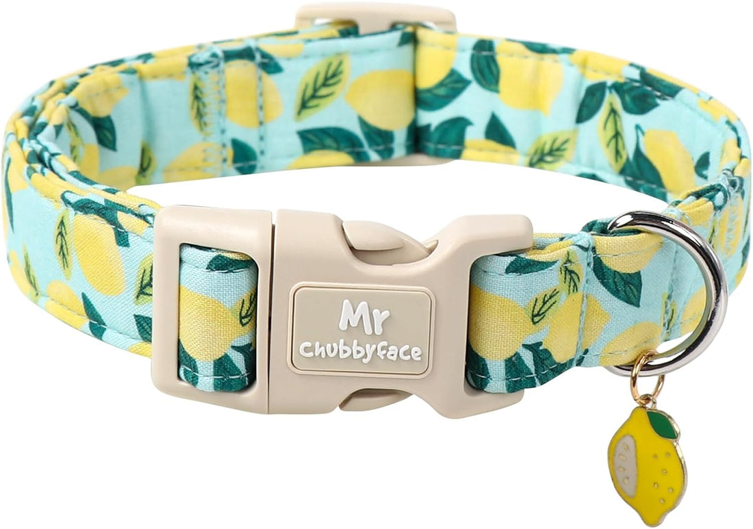 ·MR. CHUBBYFACE· Halloween Pink Pumpkin Dog Collar for Large Dogs
