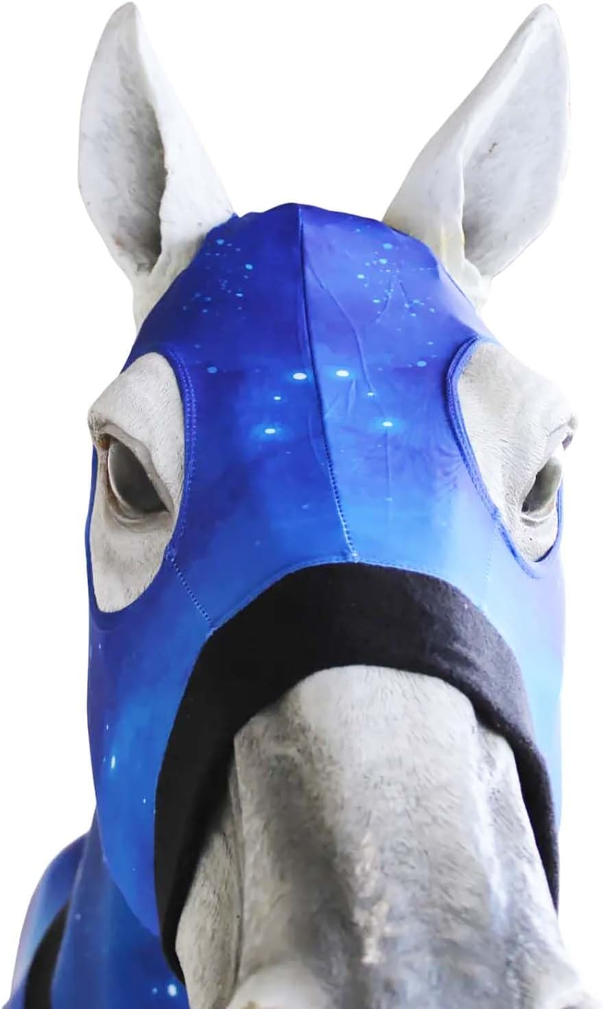 Horse Medium Horse Comfort Stretch Full Body Neck Sheet Slinky Sleazy