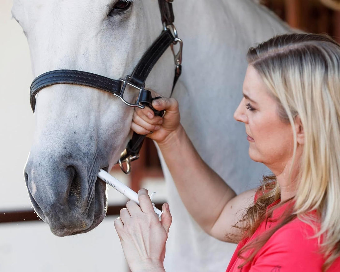 Horse Ivermectin Paste 1.87%