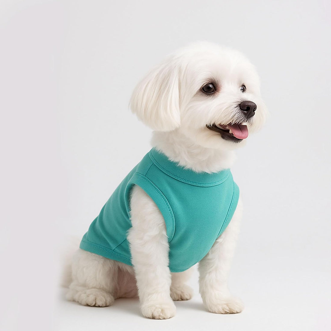 2 Pieces Dog Clothes for Small Dogs Girl Boy Chihuahua Clothes Summer