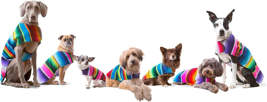 Dog Clothes - Handmade Dog Poncho from Authentic Mexican Blanket by