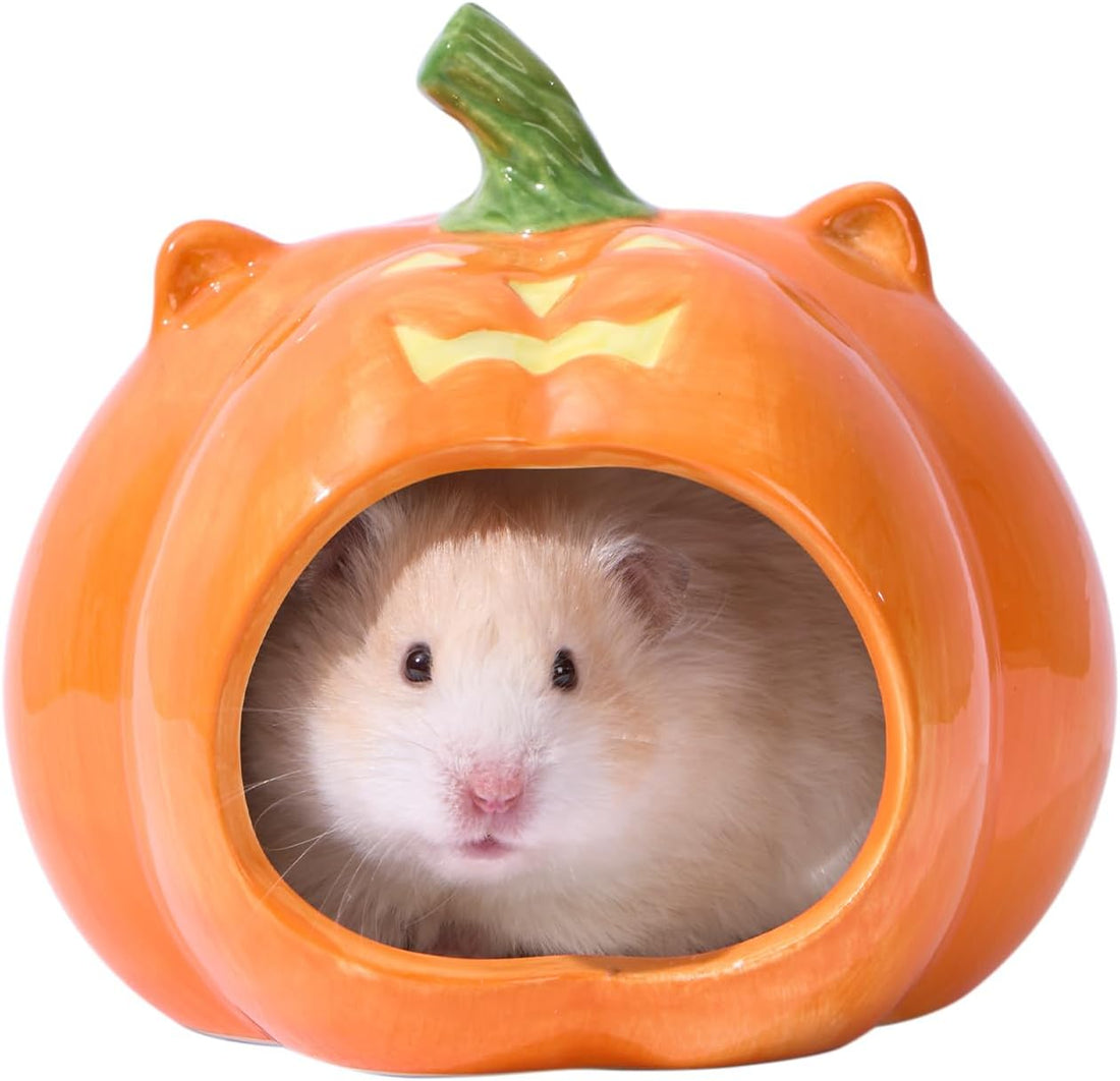 Halloween Pumpkin‑Shaped Ceramic Hamster Hideout, Small Pet House