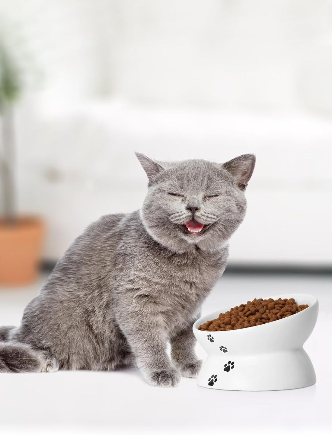 Y YHY Cat Bowl Anti Vomiting, Raised Food Bowls, Tilted Elevated Bowl
