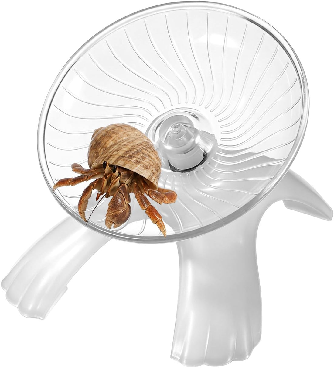 Hermit Crab Exercise Wheel, Silent Running Wheel Small Animal