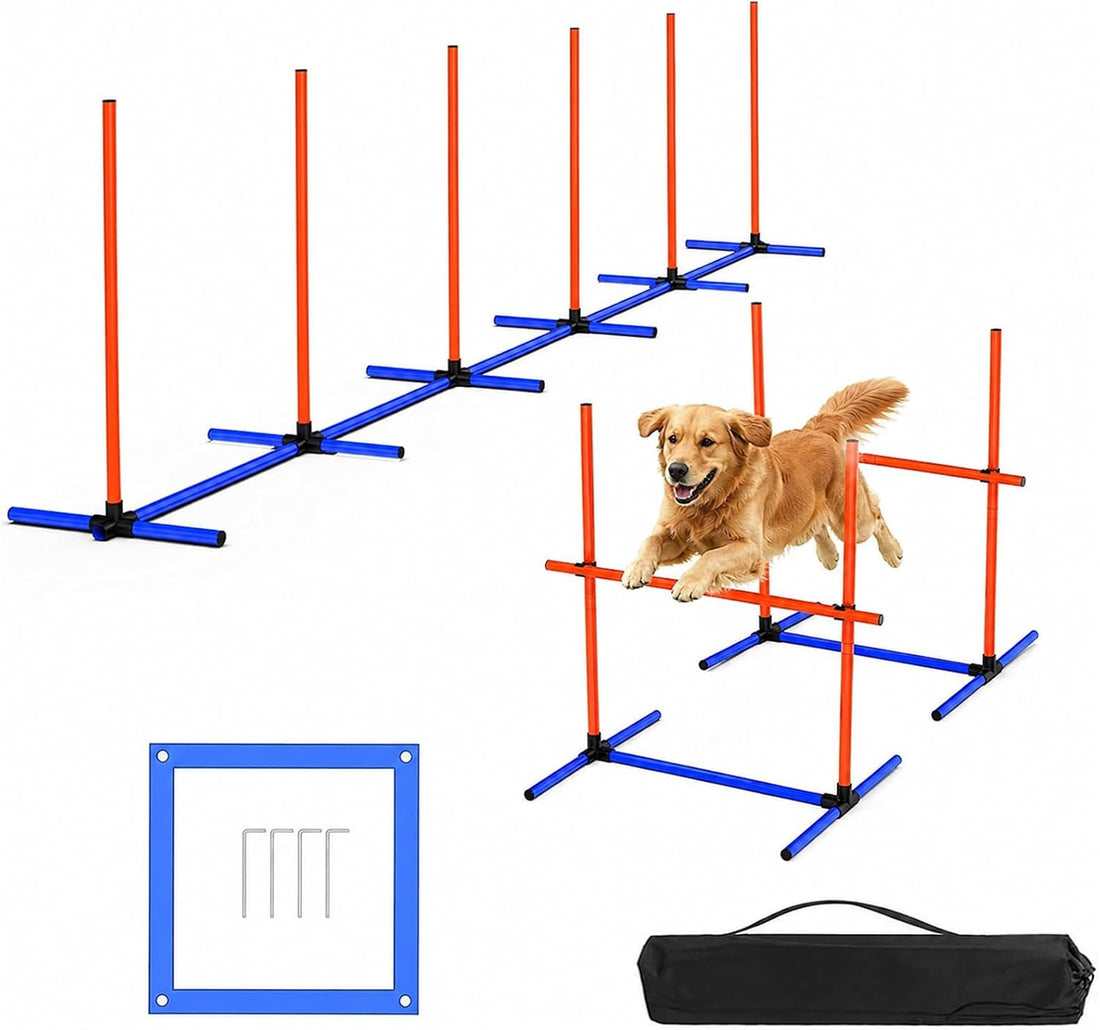 Dog Agility Equipment Set with Jumping Hoop for Agility Training