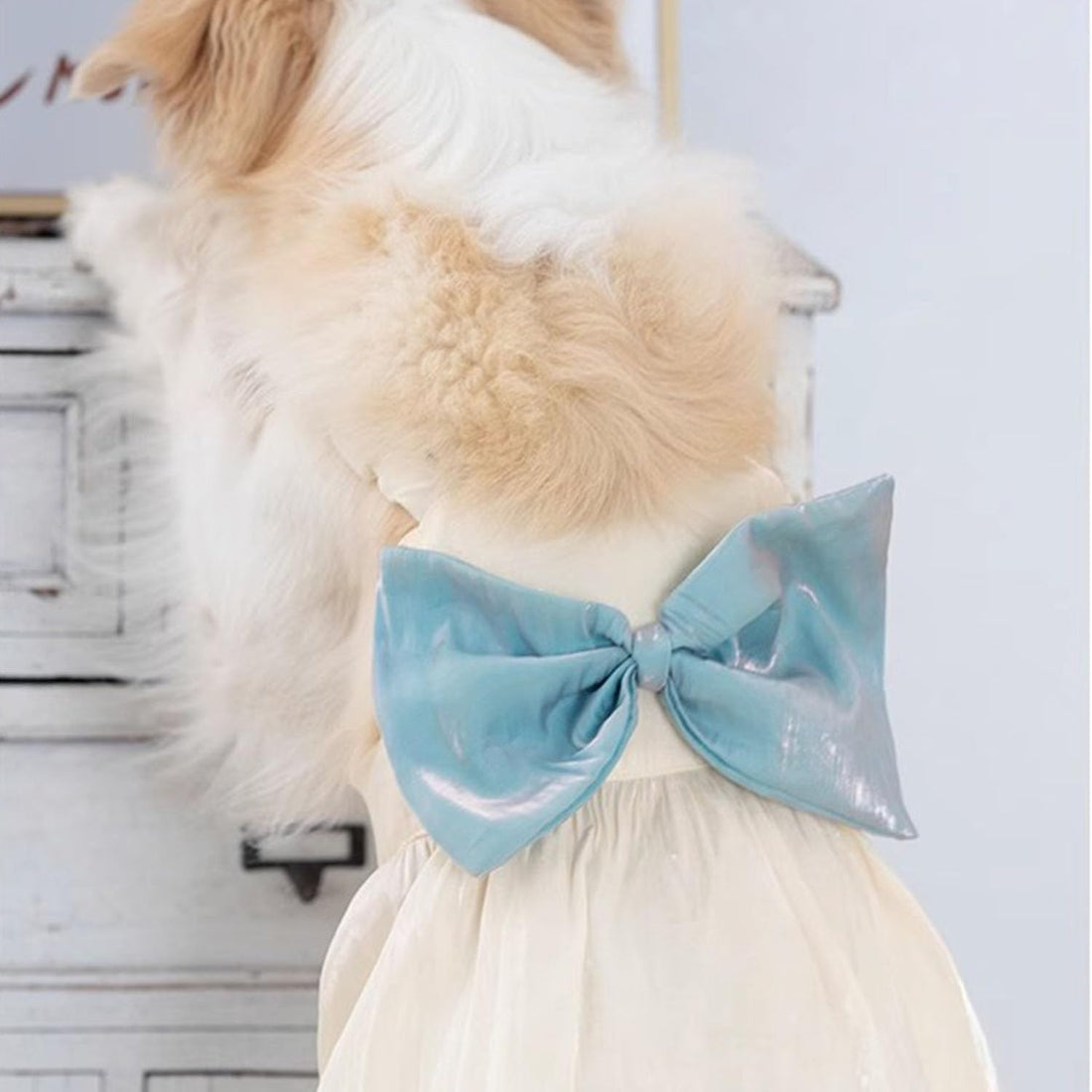 FLAdorepet White Large Dog Princess Dress Christmas Outfit Costume,6XL