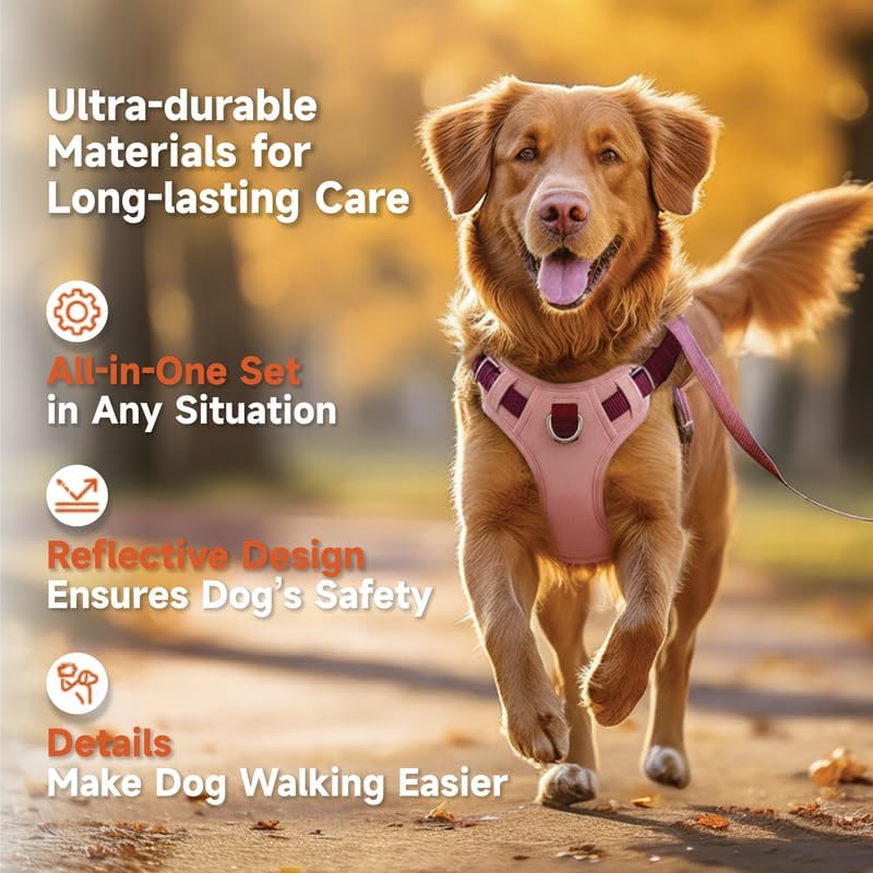 Dog Harness and Leash Set with Collar
