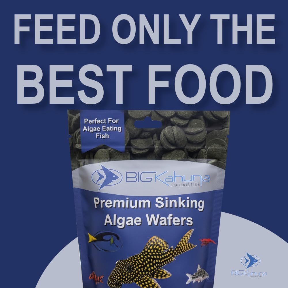 Large 18mm Algae Wafer - Algae Wafers for Bottom Feeders