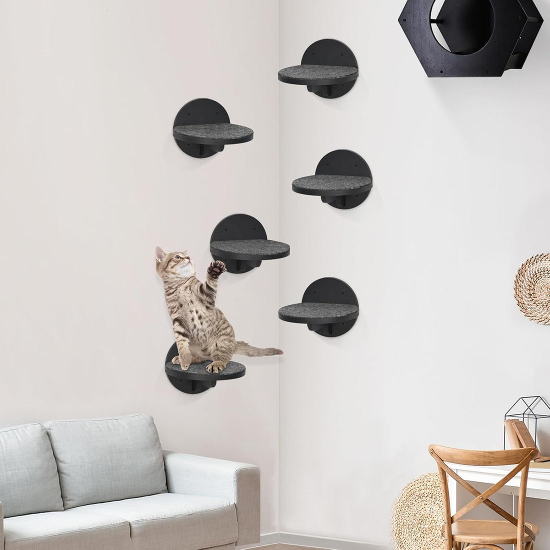 Cat Wall Shelves Furniture Set of 6