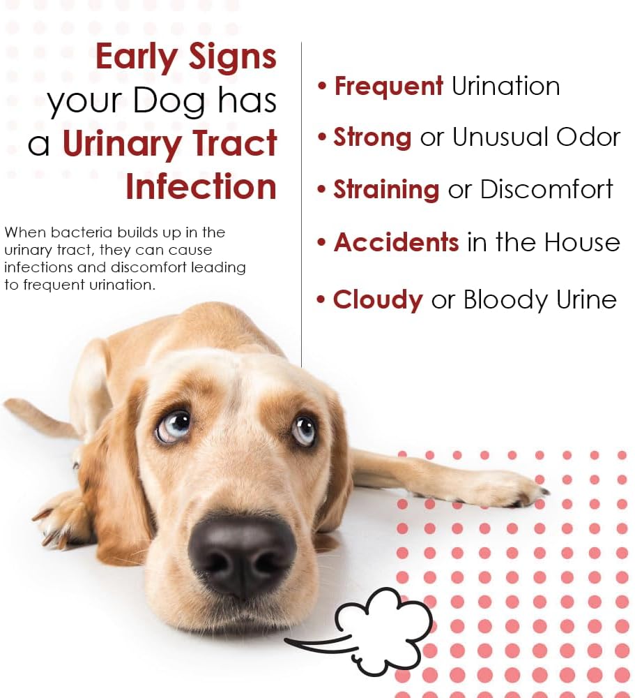 Cranberry D-Mannose Urinary Tract Supplement for Dogs & Cats