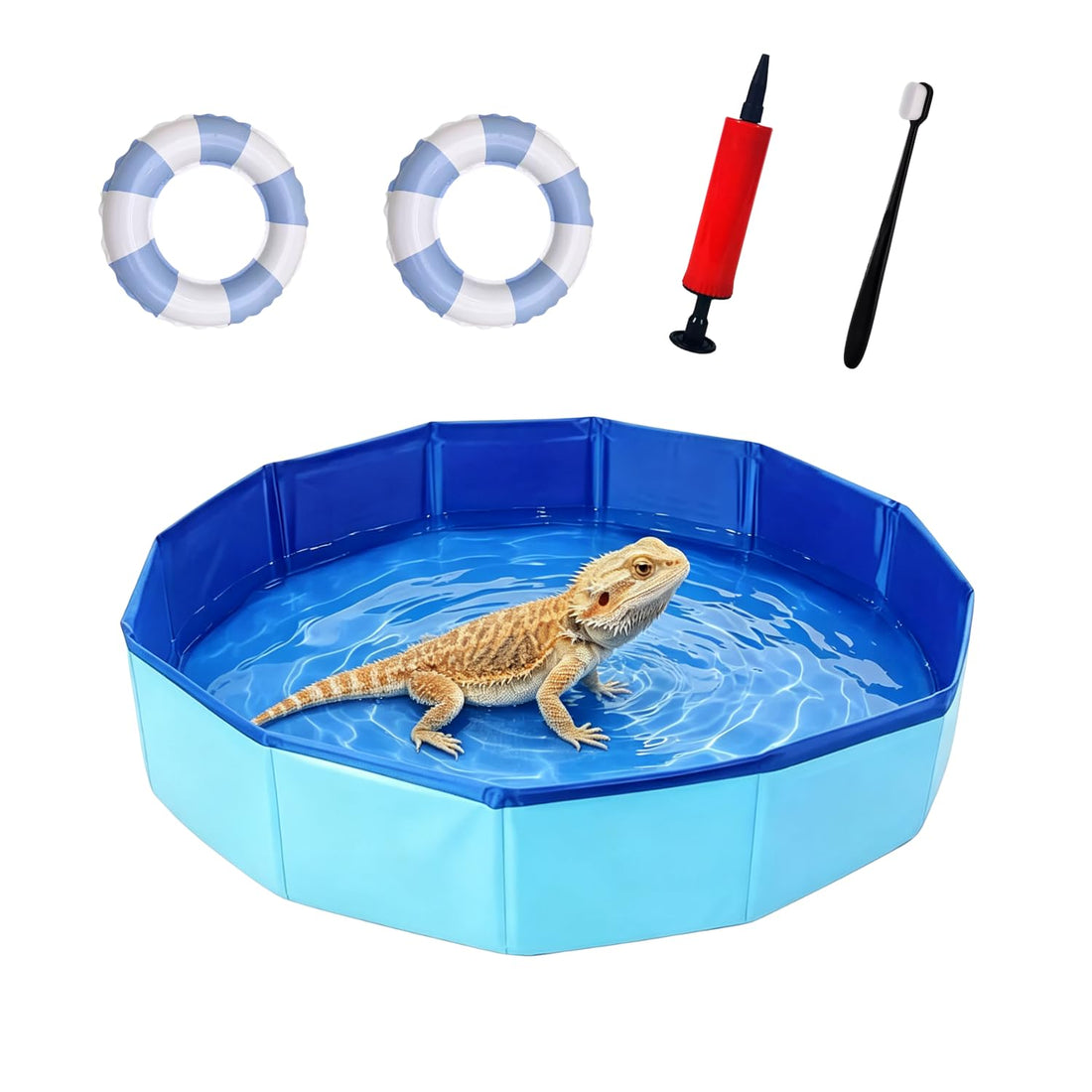 Foldable Bearded Dragon Bathtub with 2Pcs Reptile Mini Swimming Rings