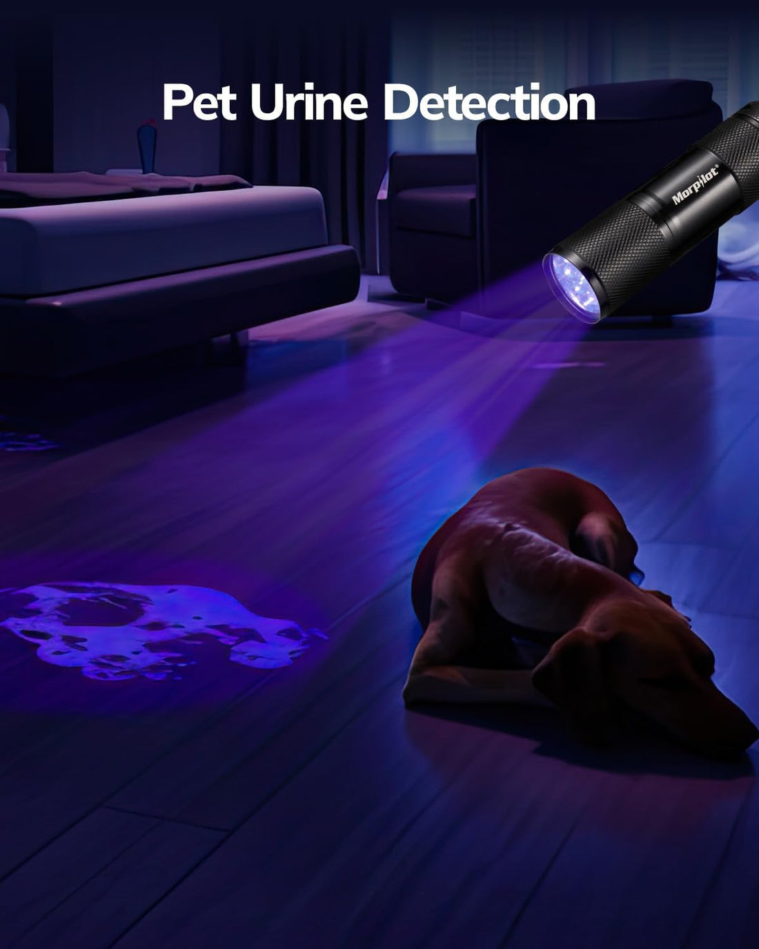 Morpilot Black Light Flashlight Mini UV Flashlight