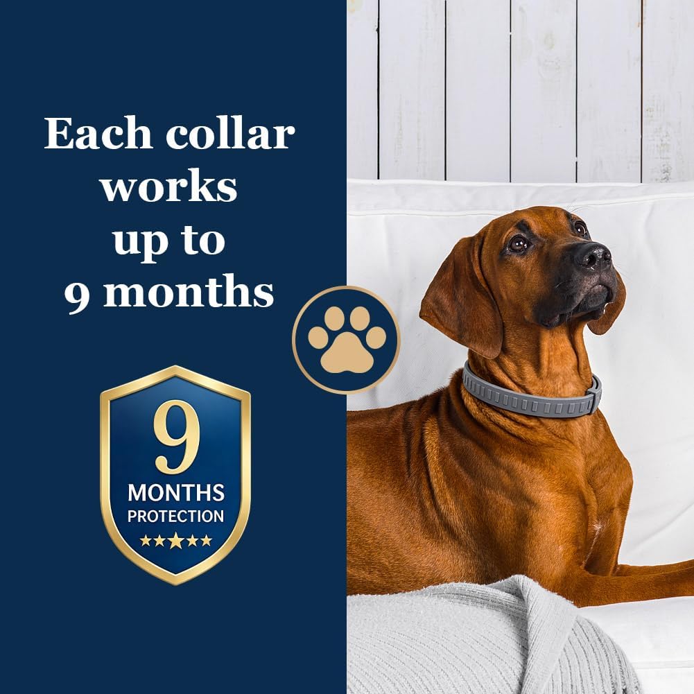 Flea Collar for Dogs Large, Tick and Flea Collar for Dogs, 2P