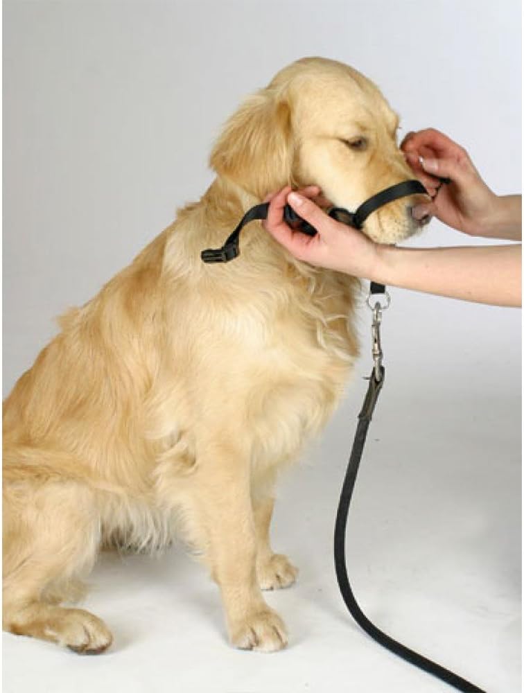 BARKELSS Gentle Dog Head Collar, Adjustable Padded Dog Halter
