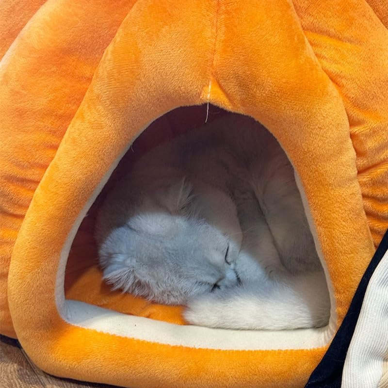 Cat Beds for Indoor Cats,Pumpkin Cat House,Cute Pumpkin Shape Cat