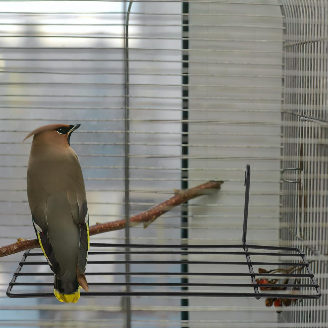 Balacoo 3 Pcs Bird Cage Stand: Metal Bird Wire Platform