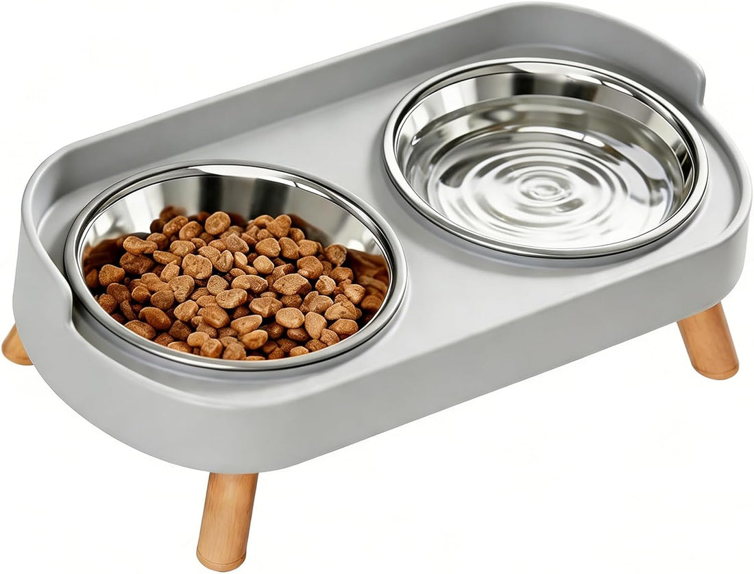 Elevated Cat Bowls, 2 Stainless Steel Raised Cat Food and Water Bowl