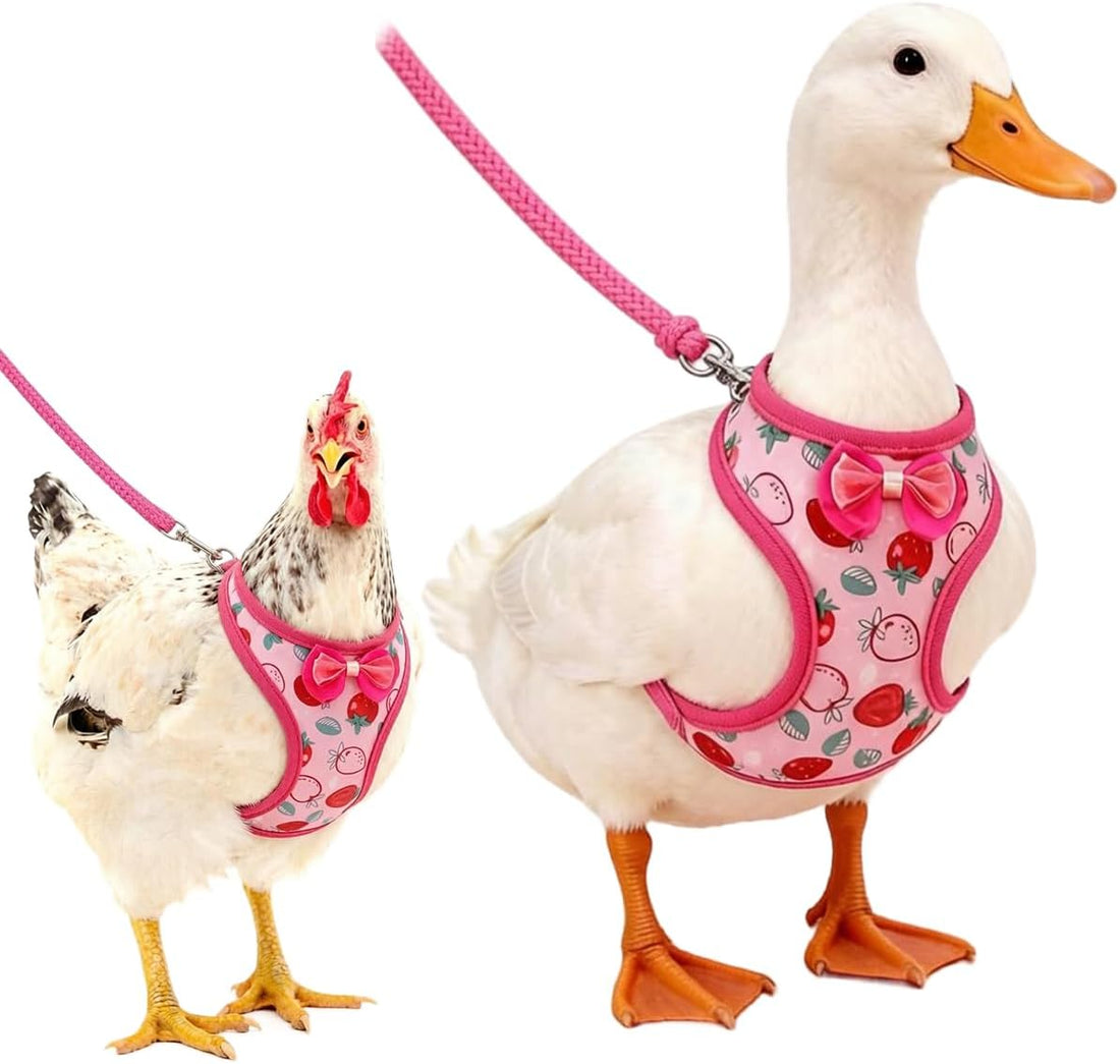 Duck Harness with Leash, Chicken Harness Vest for Goose Hans Pink