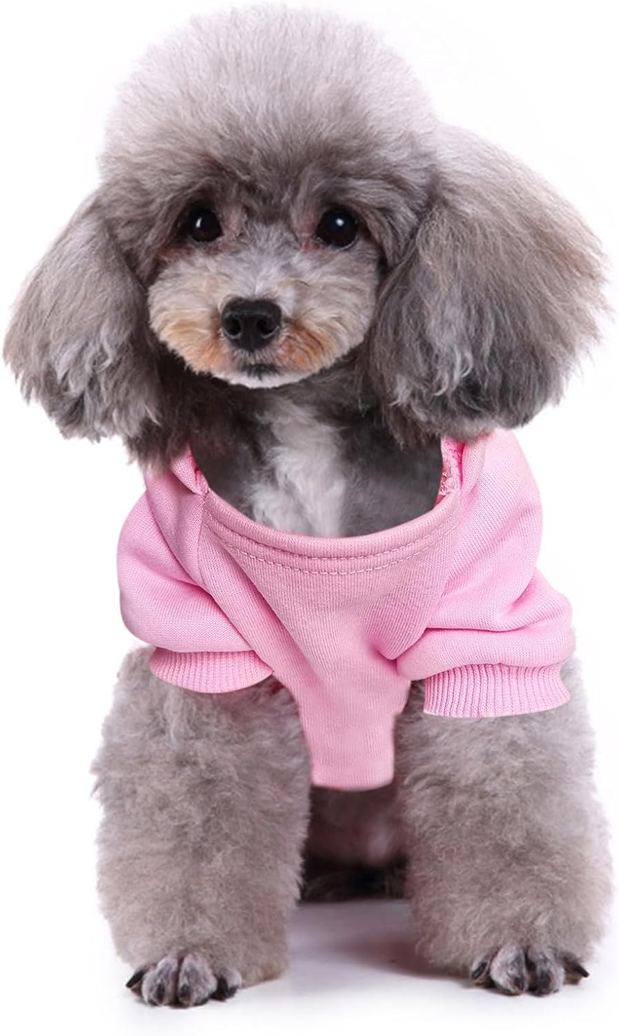 Jecikelon Print Dog Hoodies for Small Dogs with Bow