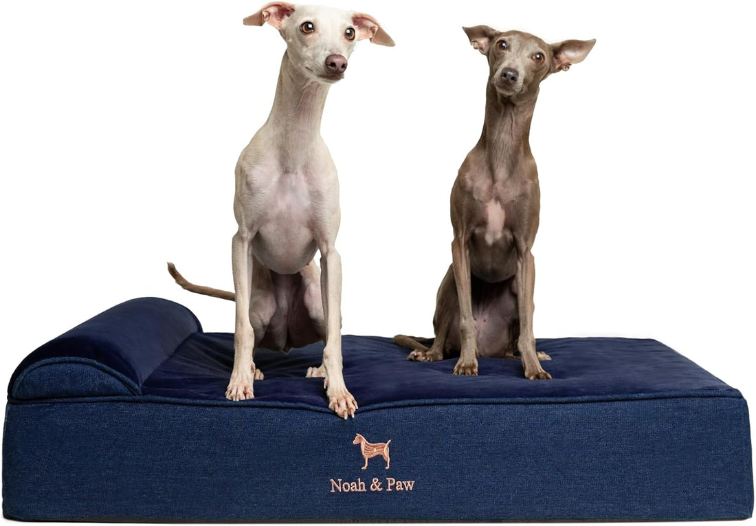 NOAH & PAW Large Dog Bed Orthopedic Memory Foam Cooling Gel 35x25x8.7