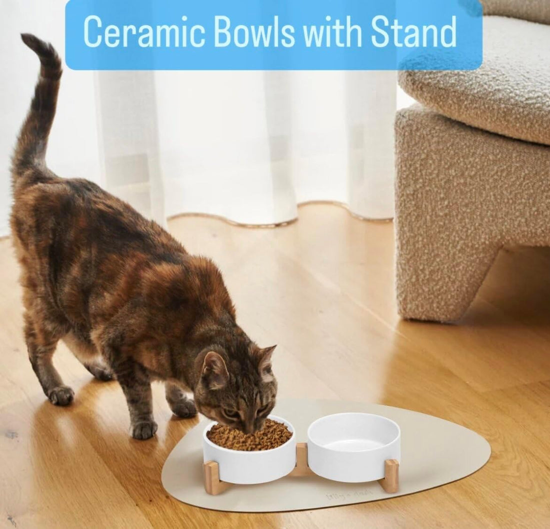 Ceramic Cat and Small Dog Bowl Set