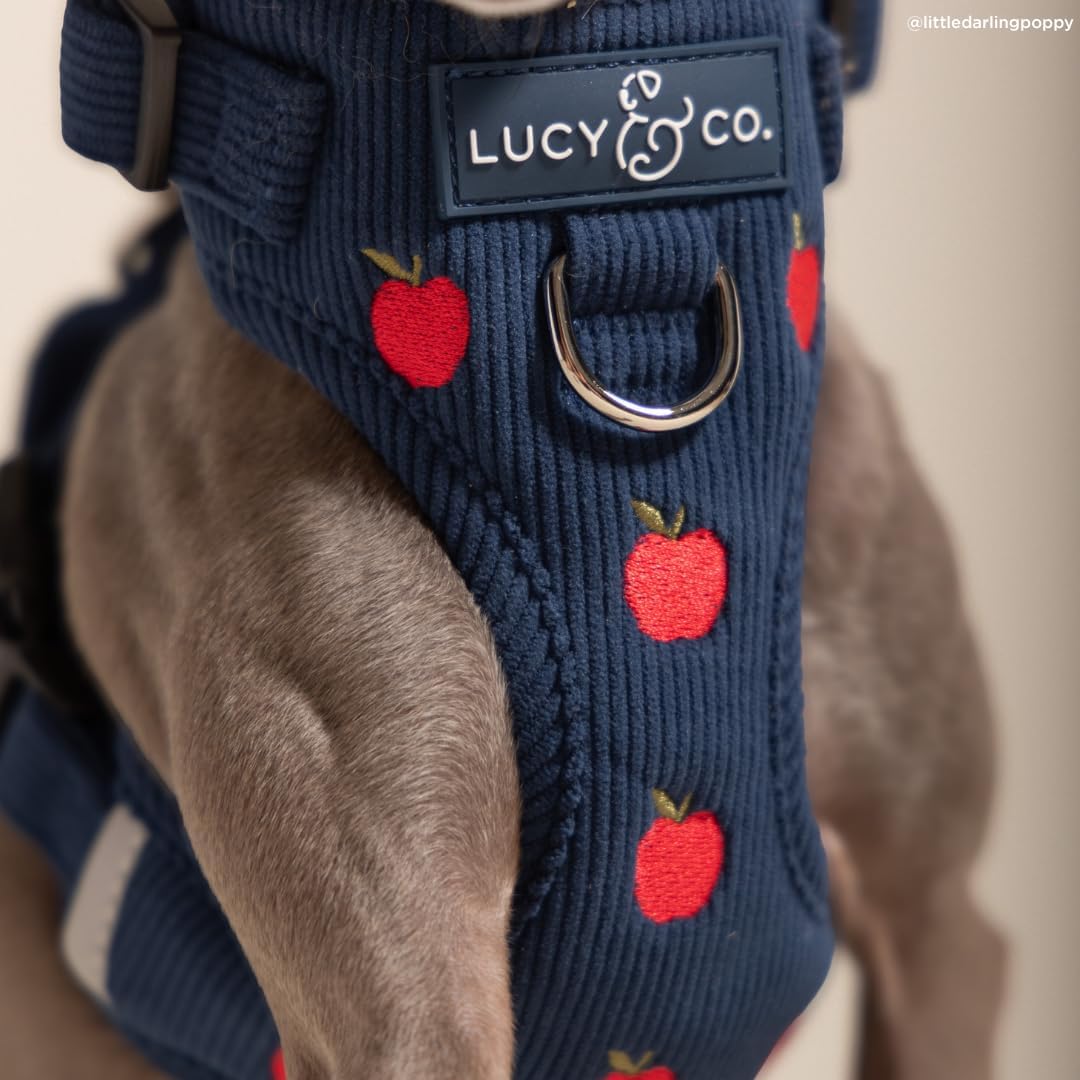 Lucy & Co. Appley Ever After Corduroy No-Pull Dog Harness, XL