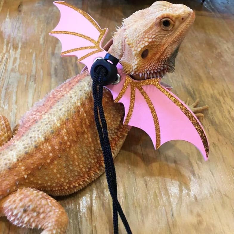 3 Size Pack Bearded Dragon Leash and Harness Set