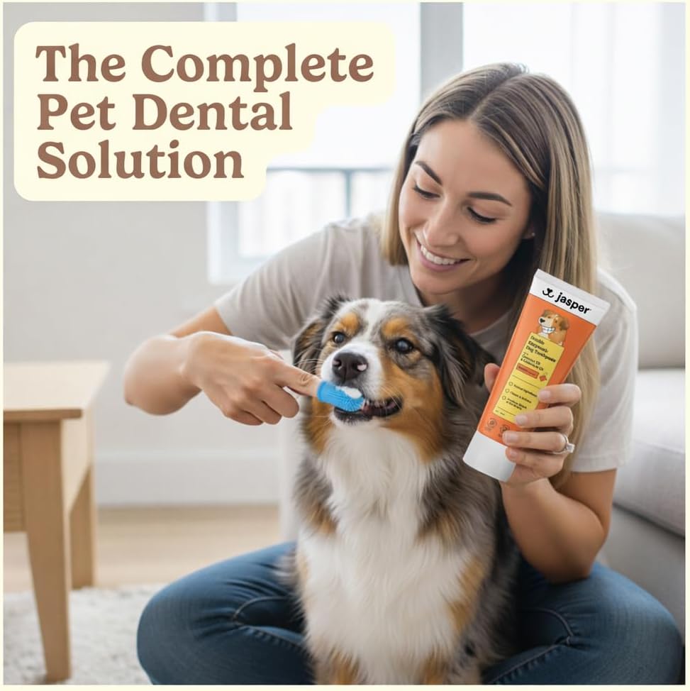 Jasper 360 Dog Tooth Brushing Kit and Dog Toothpaste (Bacon) Kit