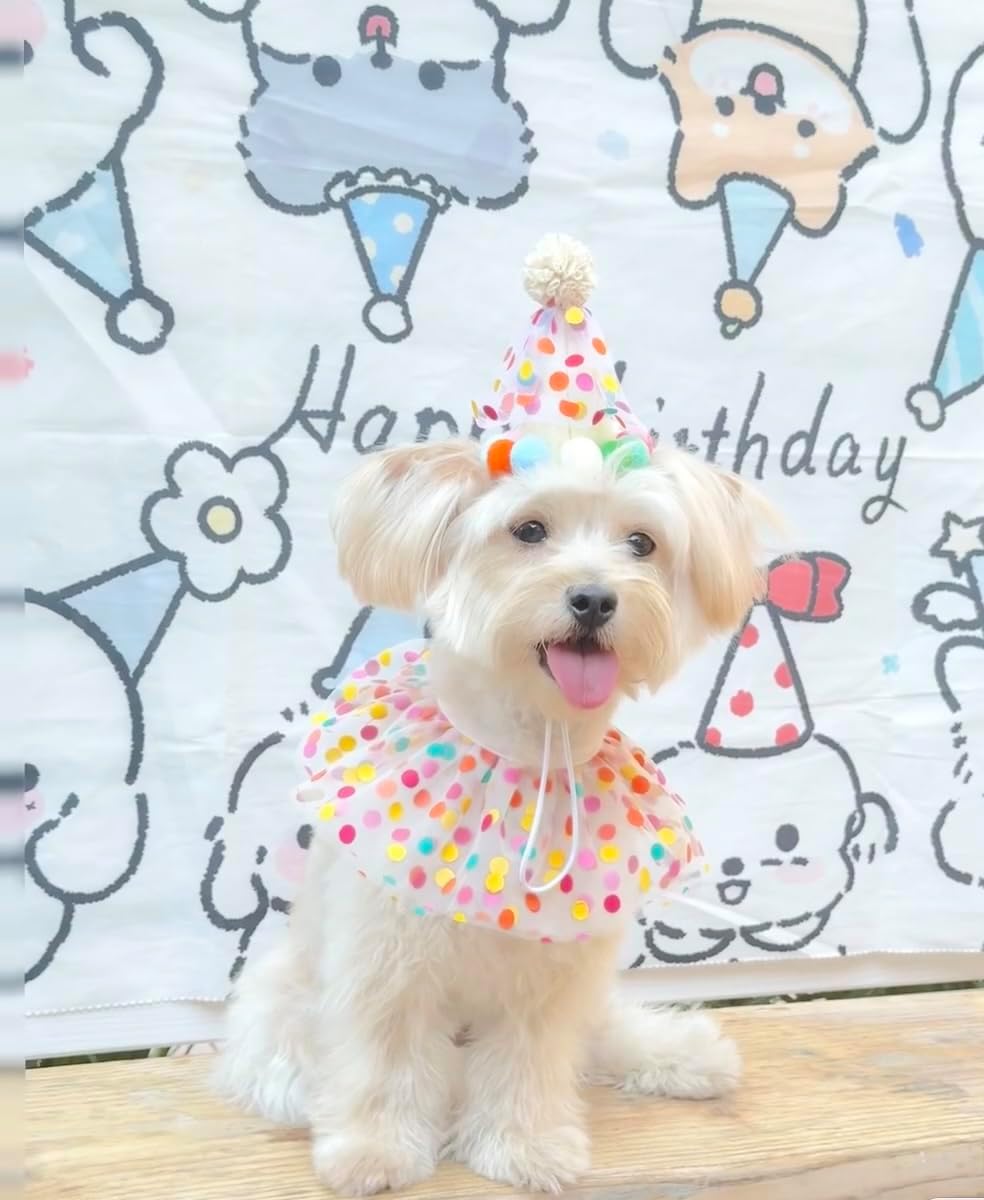 Cat Dog Princess Costumes Puppy Cat Birthday Bandana Scarf and Party