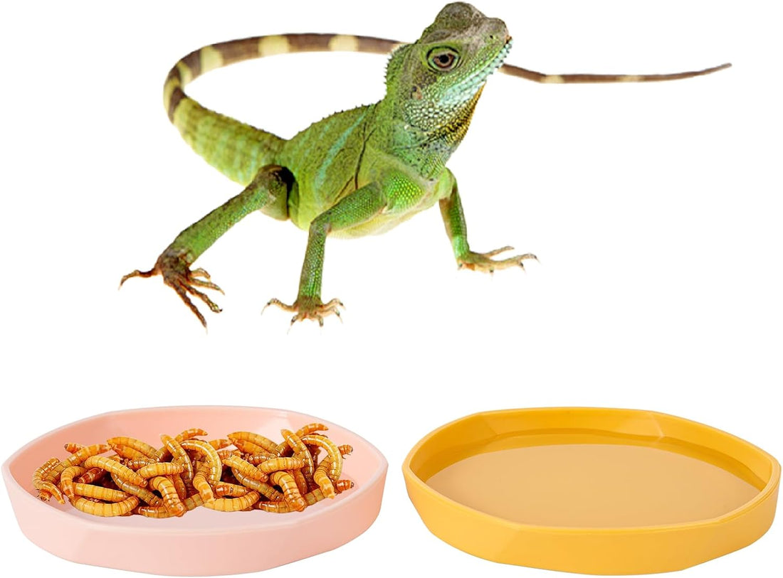 COMSUN 4 Pack Small Reptile Food Dish Bowl