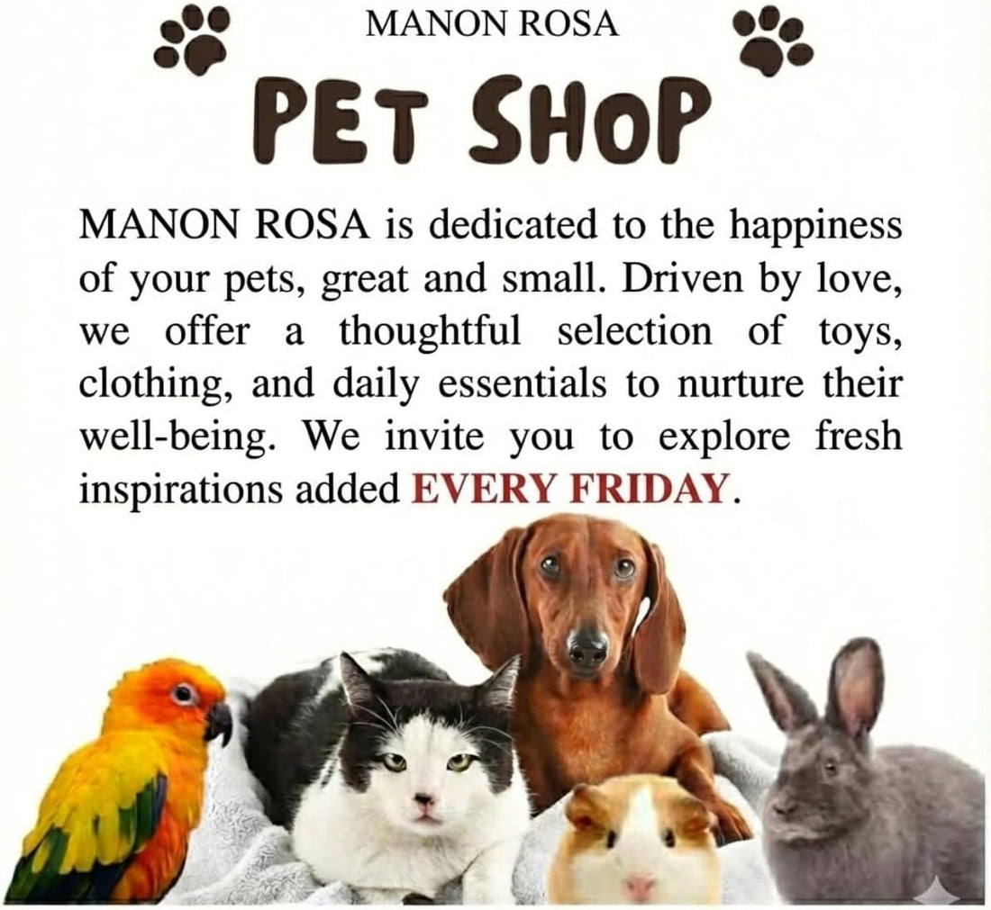 MANON ROSA Sugar Glider Harness and Leash Set, Adjustable 3 Pcs Vest