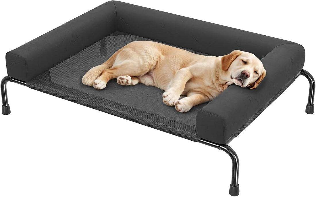 Simple Trending Elevated Dog Bed for Large Dogs with Bolsters