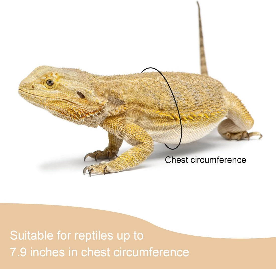 2 Pack Adjustable Reptile Harness and Leash for Lizard Gecko Bearded