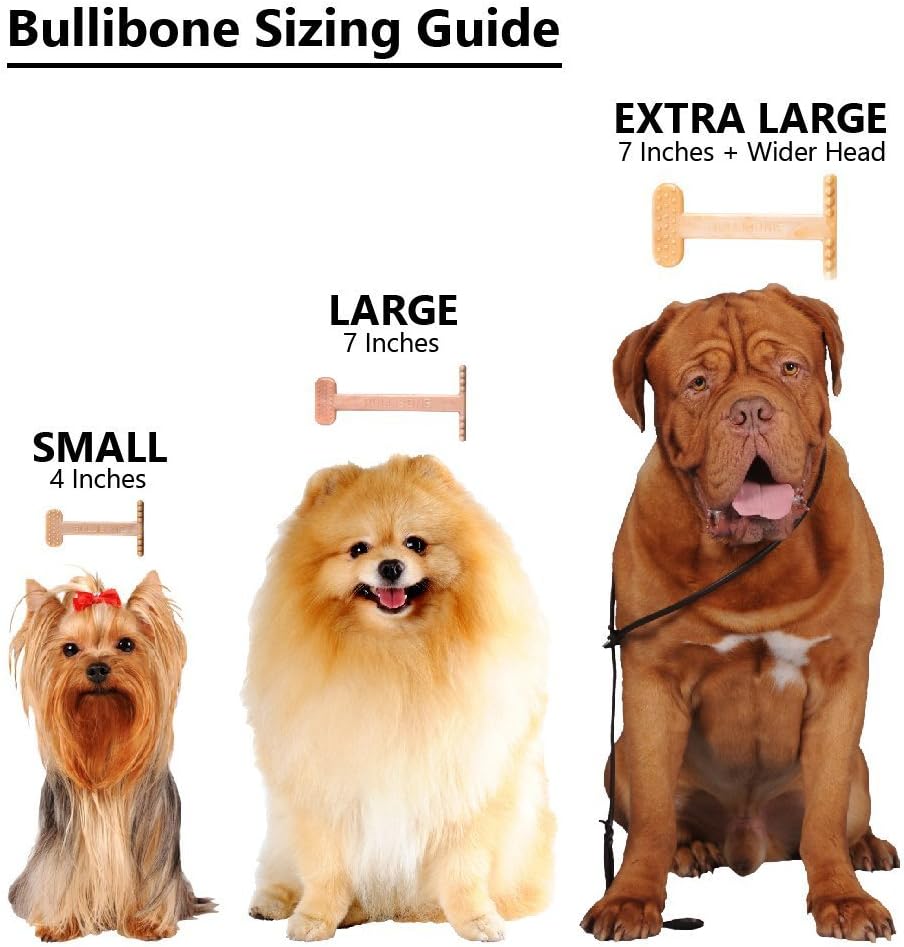 Bullibone Nylon Dog Chew Toy for Aggressive Chewers