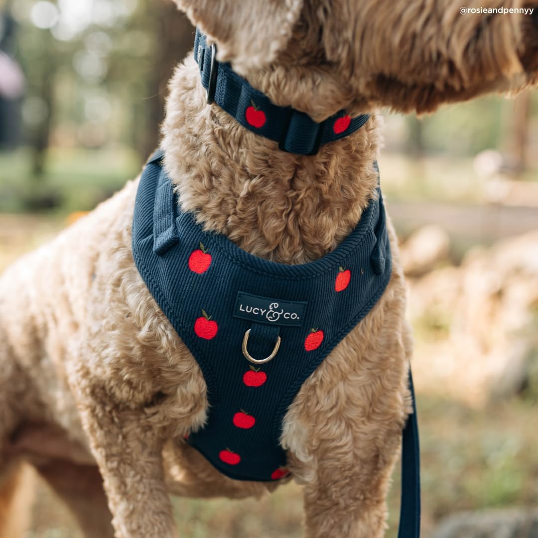 Lucy & Co. Appley Ever After Corduroy No-Pull Dog Harness, XL