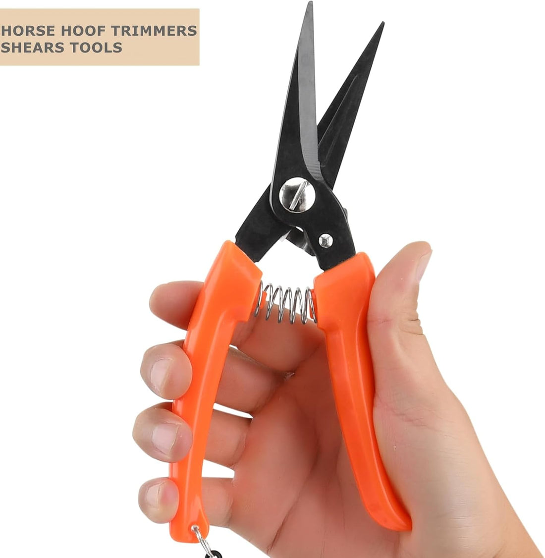 7 PCS Farrier Tool Kits Professional Hoof Trimming Farrier Tools