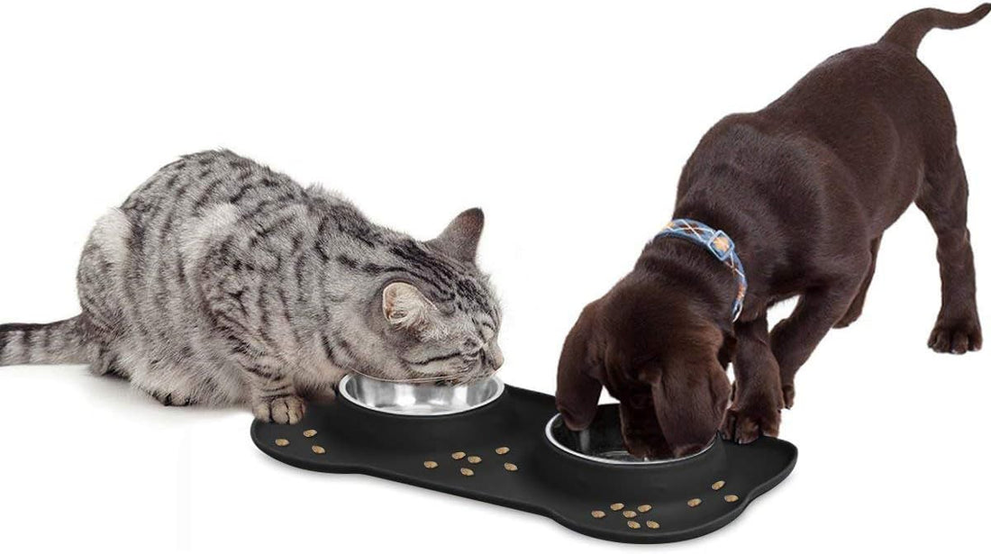 AsFrost Dog Food Bowls Stainless Steel & Water Dish with No-Spill